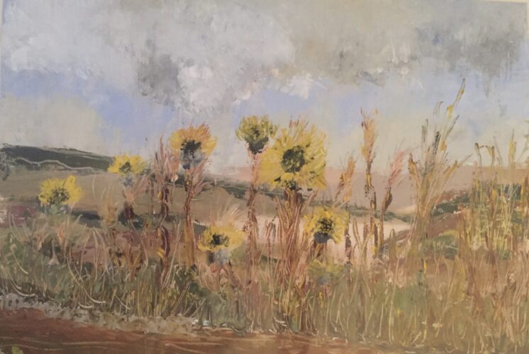 Sunflowers in France e1762278225378